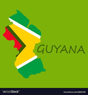 Flag map of guyana vector image