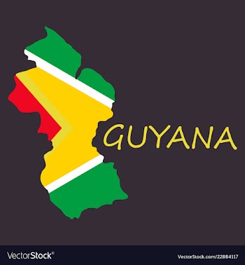 Flag map of guyana vector image