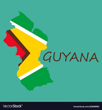 Flag map of guyana vector image