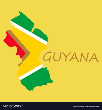 Flag map of guyana vector image