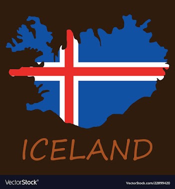 Flag map of iceland vector image