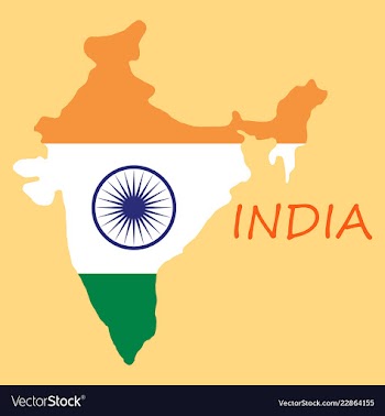 Flag map of india vector image