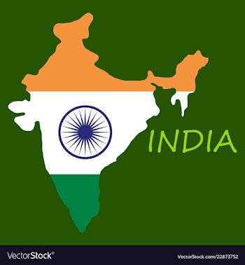 Flag map of india vector image