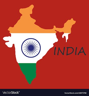 Flag map of india vector image