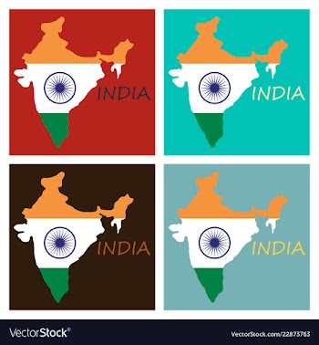 Flag map of india vector image