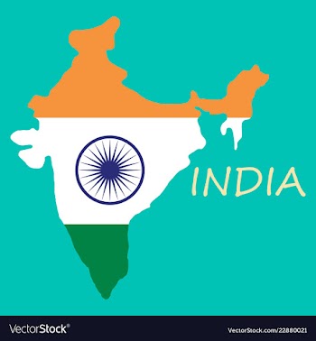 Flag map of india vector image