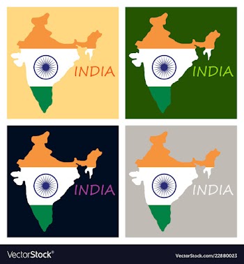 Flag map of india vector image