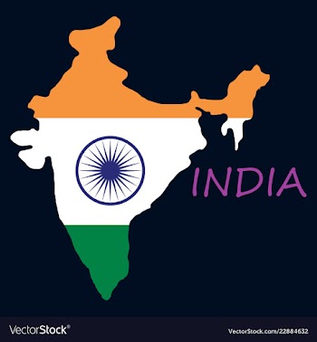 Flag map of india vector image