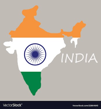 Flag map of india vector image