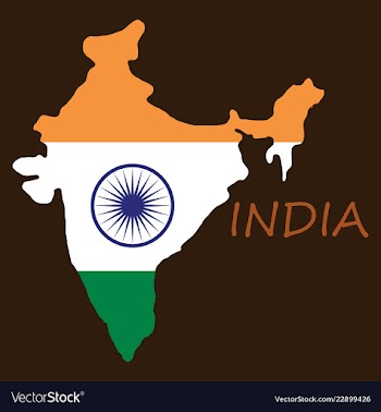 Flag map of india vector image