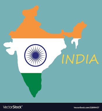Flag map of india vector image