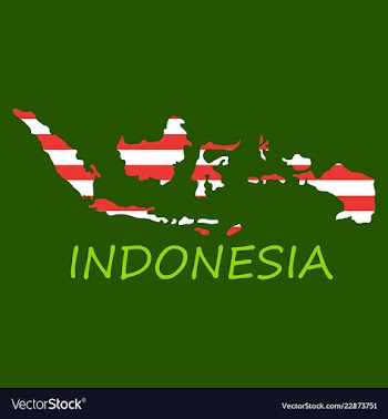 Flag map of indonesia vector image