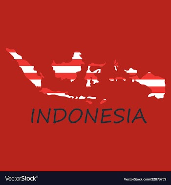 Flag map of indonesia vector image