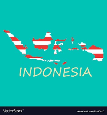 Flag map of indonesia vector image
