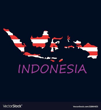 Flag map of indonesia vector image