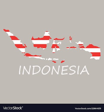 Flag map of indonesia vector image