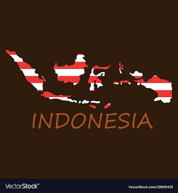 Flag map of indonesia vector image