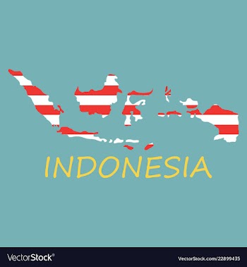 Flag map of indonesia vector image