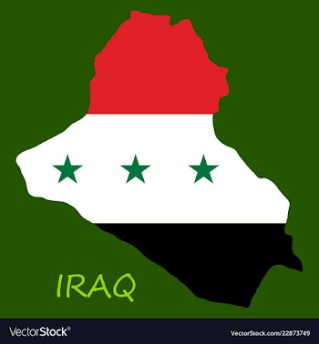 Flag map of iraq vector image
