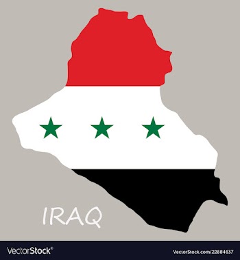 Flag map of iraq vector image