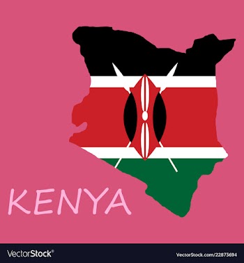 Flag map of kenya vector image
