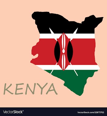 Flag map of kenya vector image