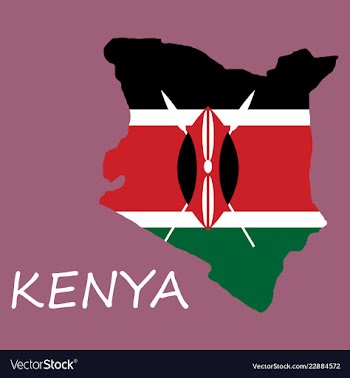 Flag map of kenya vector image