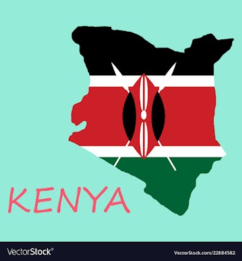 Flag map of kenya vector image