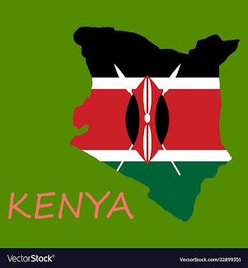 Flag map of kenya vector image