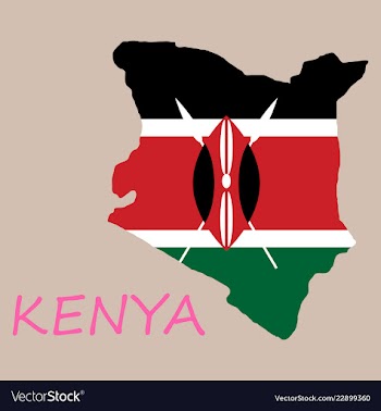 Flag map of kenya vector image