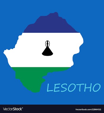 Flag map of lesotho vector image