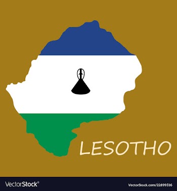 Flag map of lesotho vector image