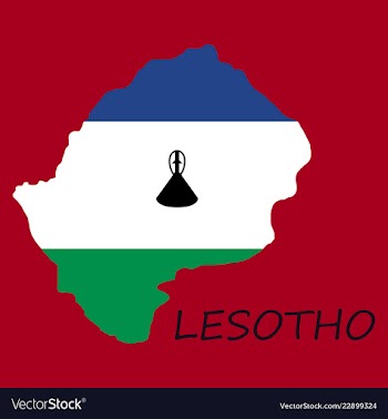 Flag map of lesotho vector image
