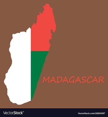 Flag map of madagascar vector image