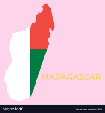 Flag map of madagascar vector image
