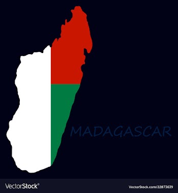 Flag map of madagascar vector image