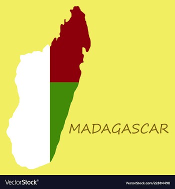 Flag map of madagascar vector image