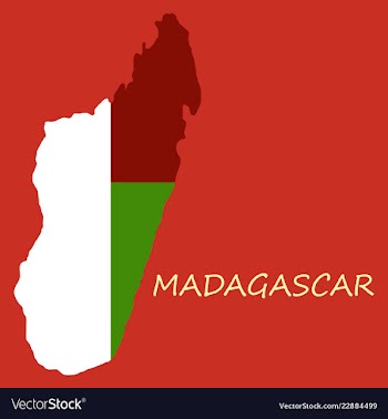 Flag map of madagascar vector image