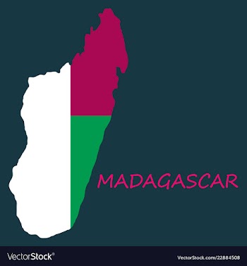Flag map of madagascar vector image