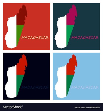 Flag map of madagascar vector image