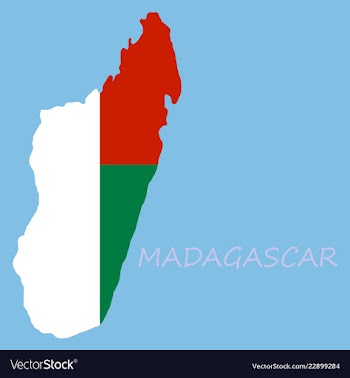 Flag map of madagascar vector image