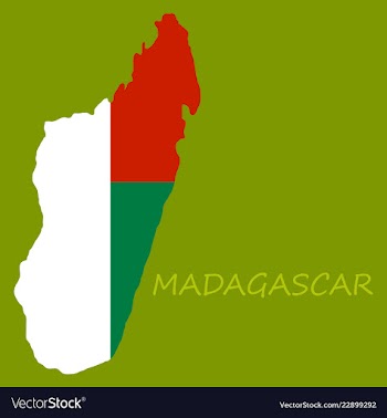 Flag map of madagascar vector image