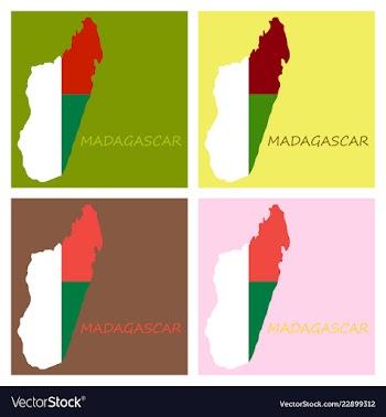 Flag map of madagascar vector image