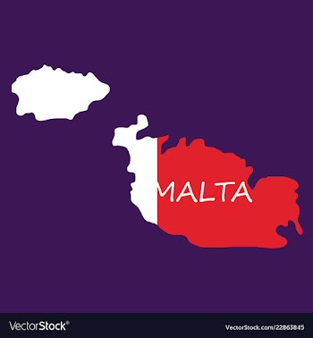 Flag map of malta vector image