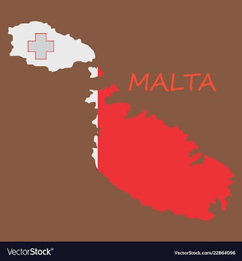 Flag map of malta vector image