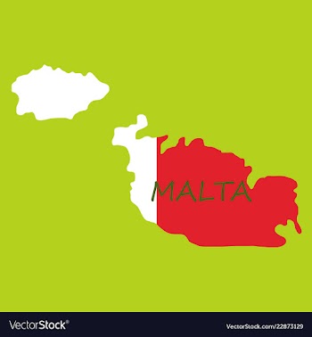 Flag map of malta vector image