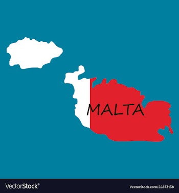 Flag map of malta vector image