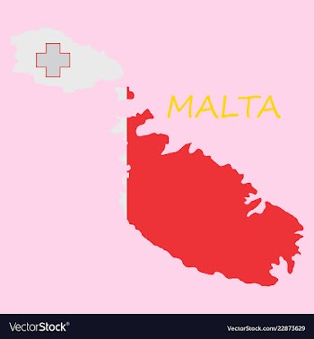 Flag map of malta vector image
