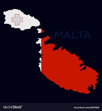 Flag map of malta vector image