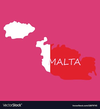 Flag map of malta vector image